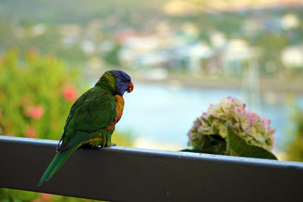 Hydra Holiday Units Merimbula Exteriér fotografie